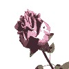 flower (209).g